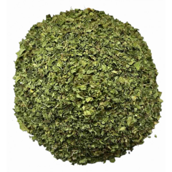 MORINGA Oleifera (prémium)